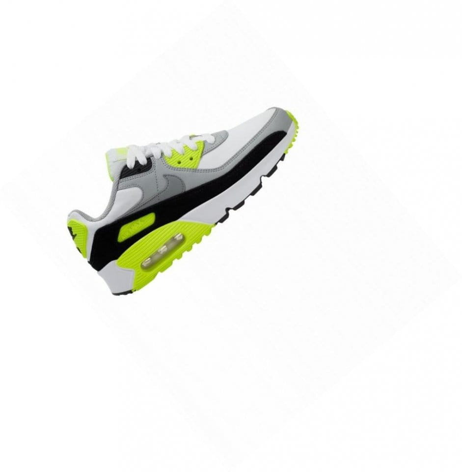 baskets air max 90 ltr