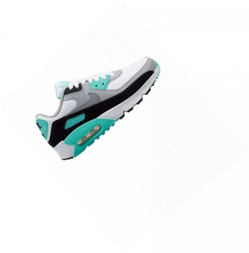 Schuhe Nike AIR MAX 90 LTR (GS)