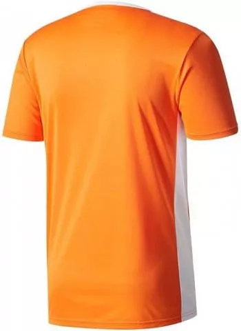 Camisa adidas ENTRADA 18 JSY