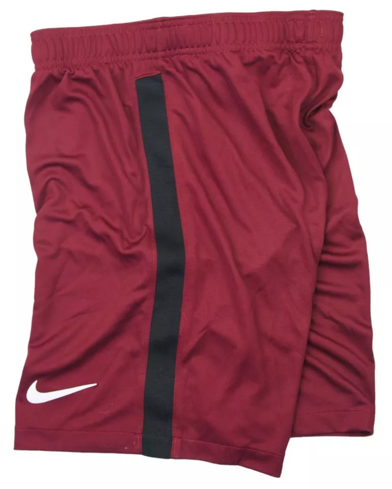 Calções Nike SFZ M SHORT GK PR