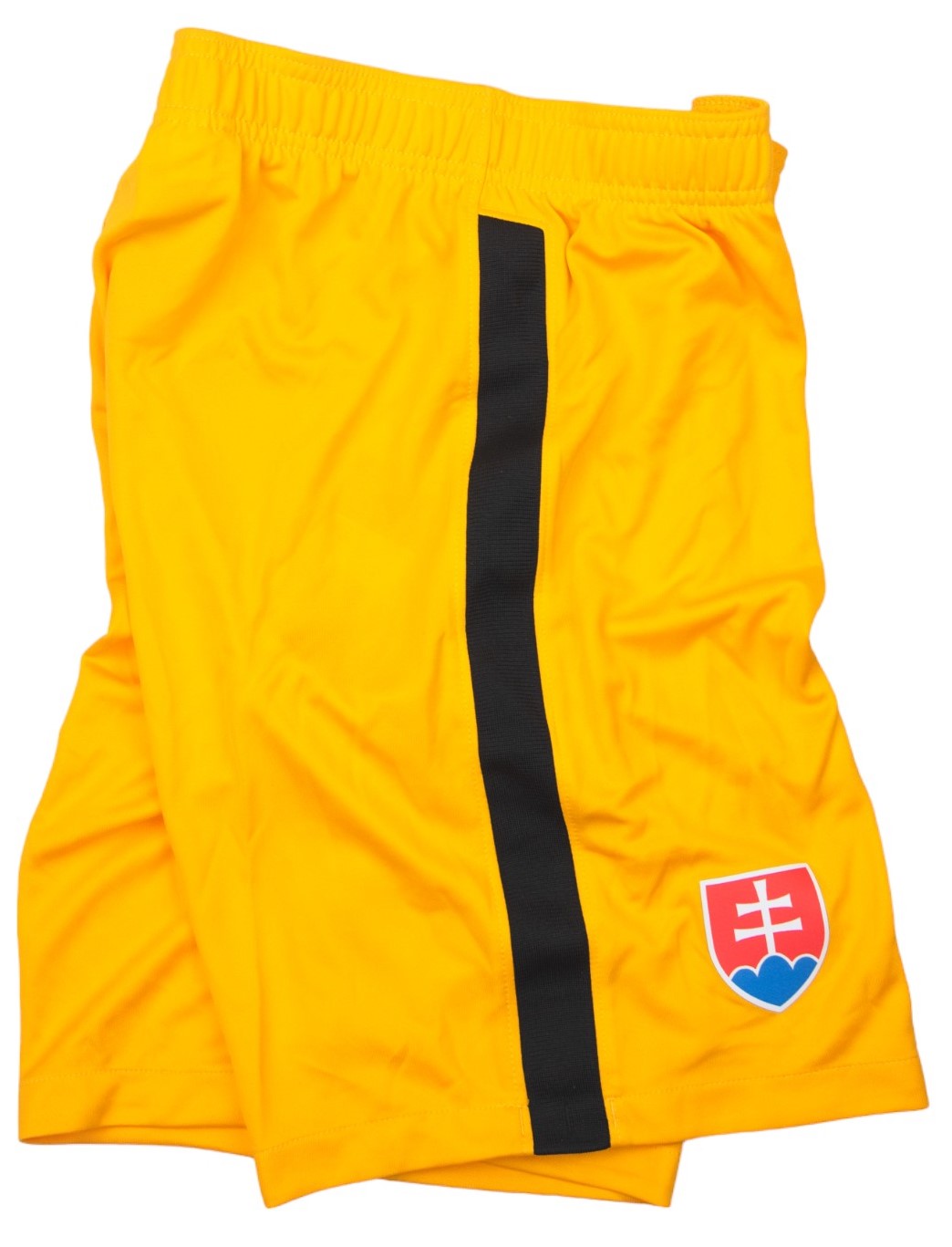 Pánské fotbalové šortky Nike Dri-FIT Slovensko, brankářské
