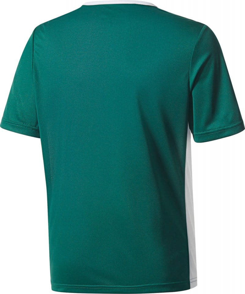 Shirt adidas ENTRADA 18 JSY Y - Top4Football.ie