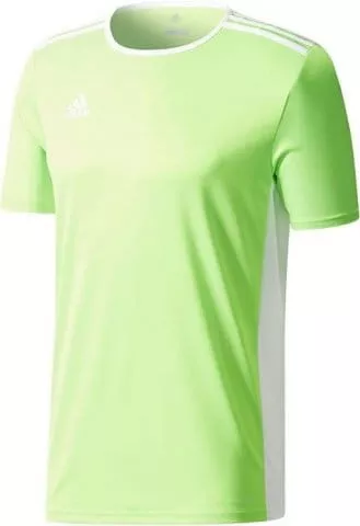 Camisa adidas entrada 18