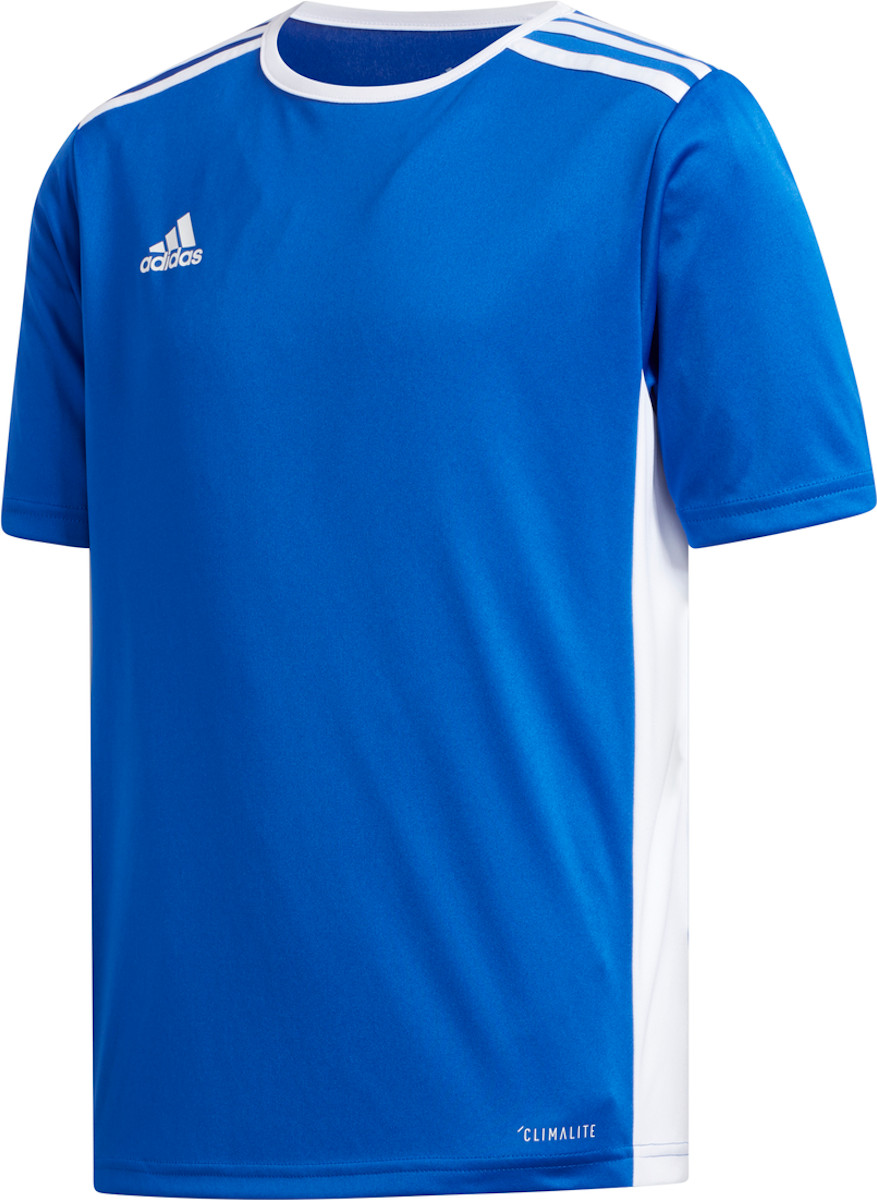 Maglia adidas ENTRADA 18 JSY Y