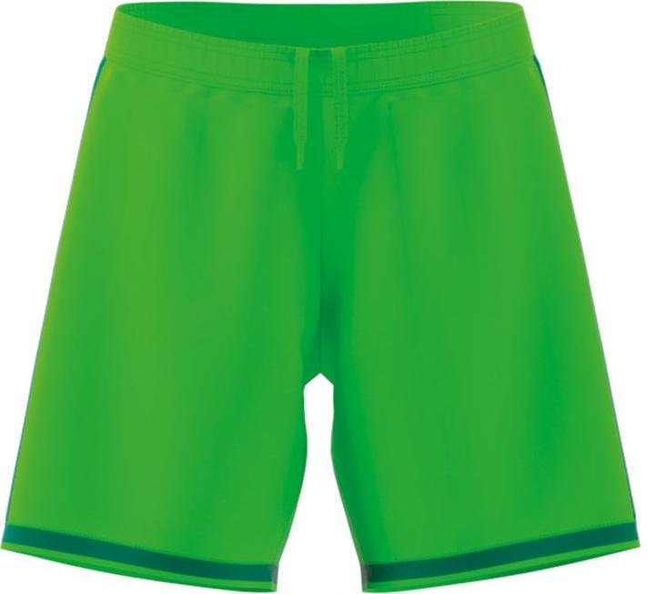 Shorts adidas REGISTA 18 SHO