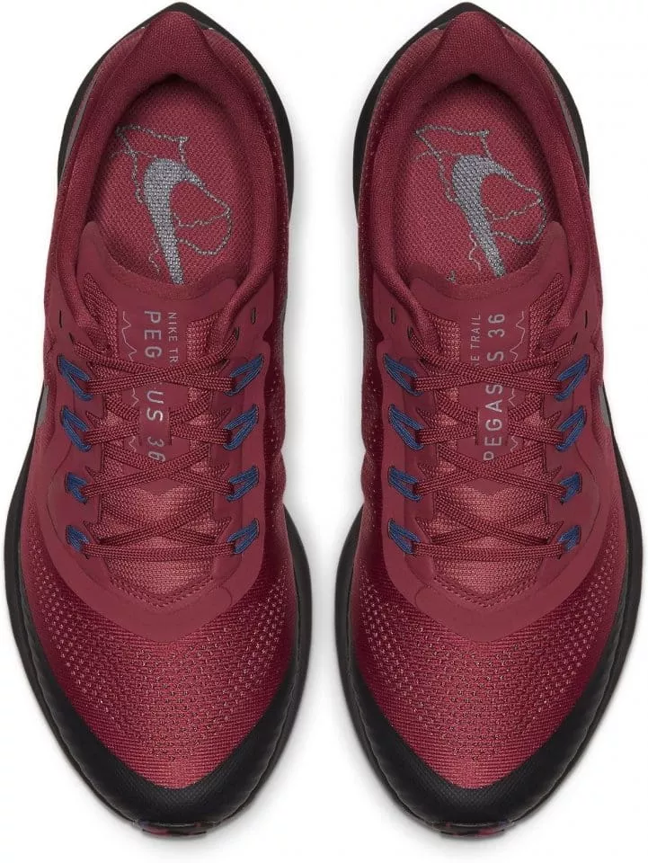 Trailové topánky Nike PEGASUS 36 TRAIL