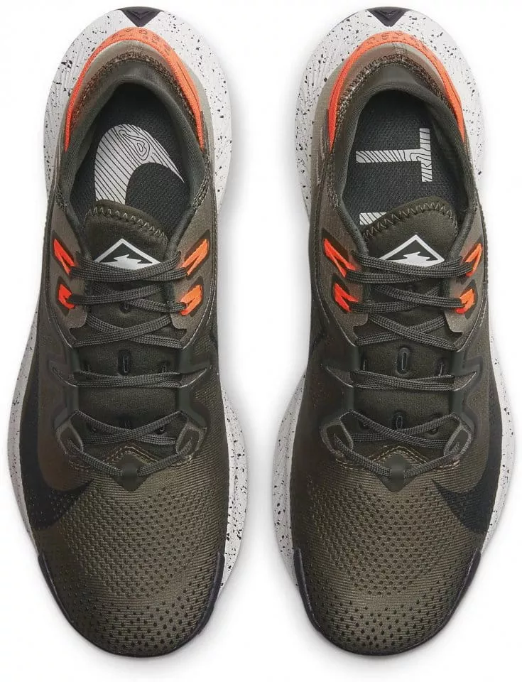 Chaussures de Nike PEGASUS TRAIL 2