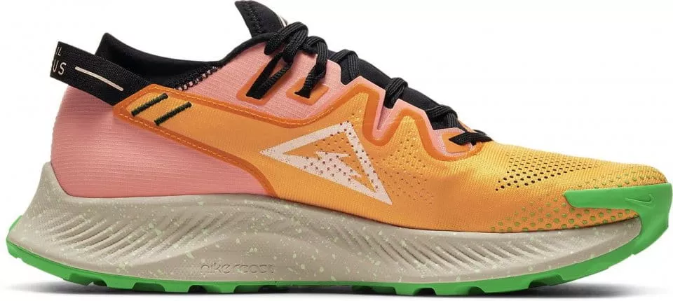Trail-Schuhe Nike PEGASUS TRAIL 2