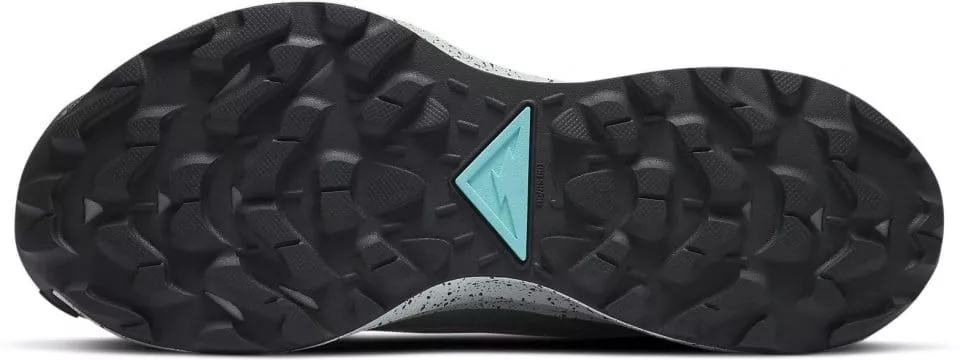 Trailové topánky Nike W PEGASUS TRAIL 2