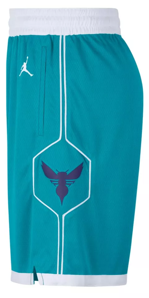 Pánské kraťasy Jordan NBA Swingman Charlotte Hornets Icon Edition 2020
