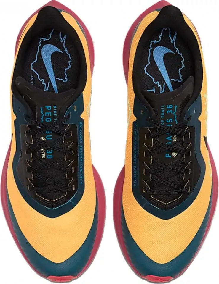Pánské trailové boty Nike Zoom Pegasus 36 Trail GTX