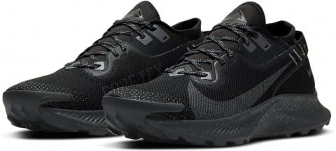Trail shoes Nike PEGASUS TRAIL 2 GTX 