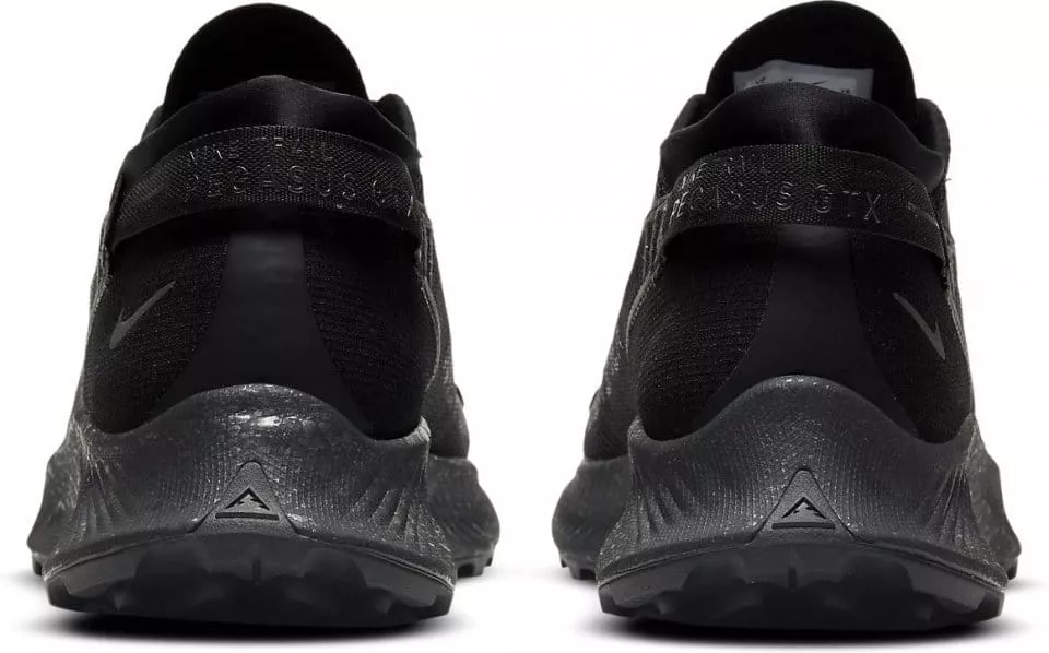 Pantofi Nike PEGASUS TRAIL 2 GTX