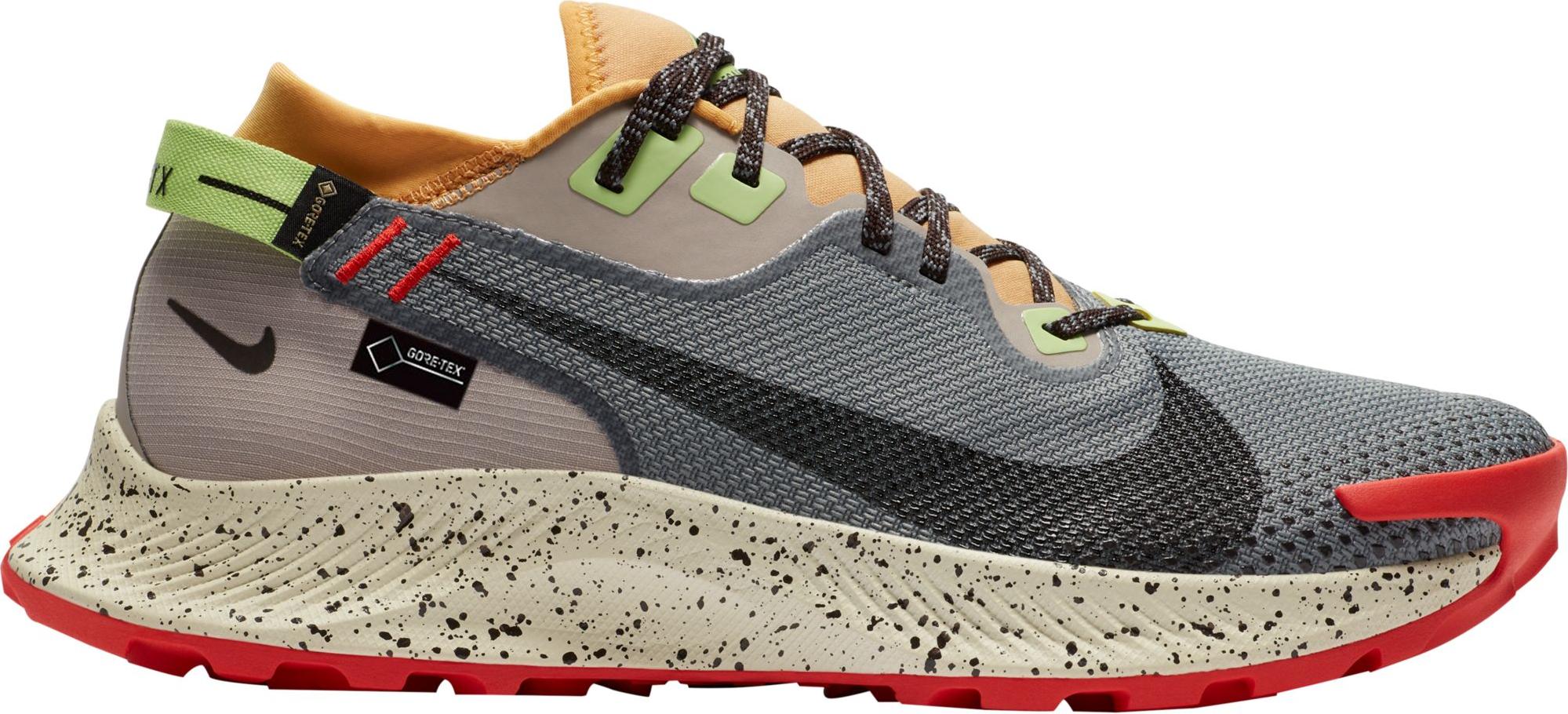 Nike Pegasus Trail 2 Gore-Tex