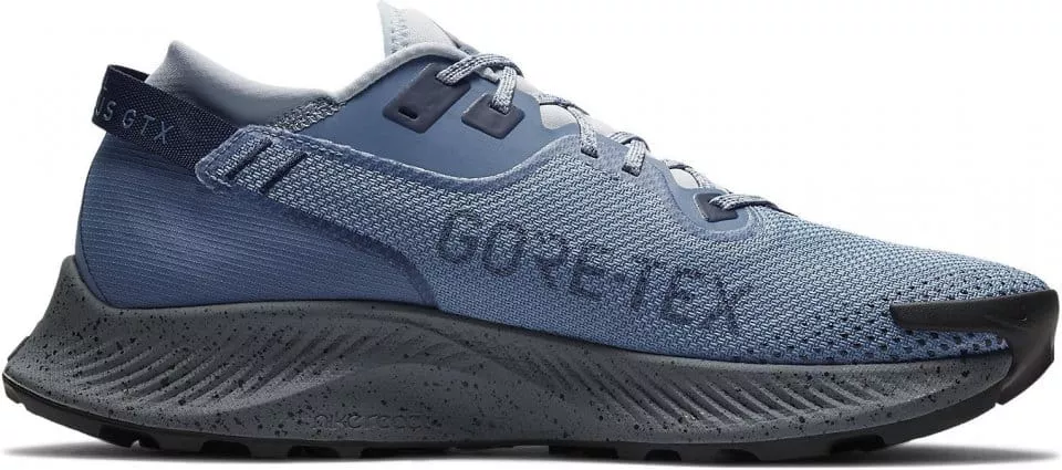 Nike PEGASUS TRAIL 2 GTX Terepfutó cipők