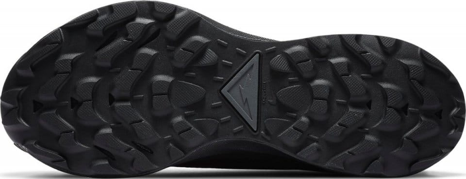 Trail shoes Nike WMNS PEGASUS TRAIL 2 GTX - Top4Fitness.com
