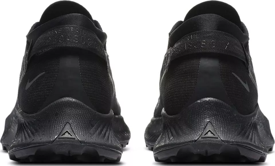 Trailové topánky Nike WMNS PEGASUS TRAIL 2 GTX