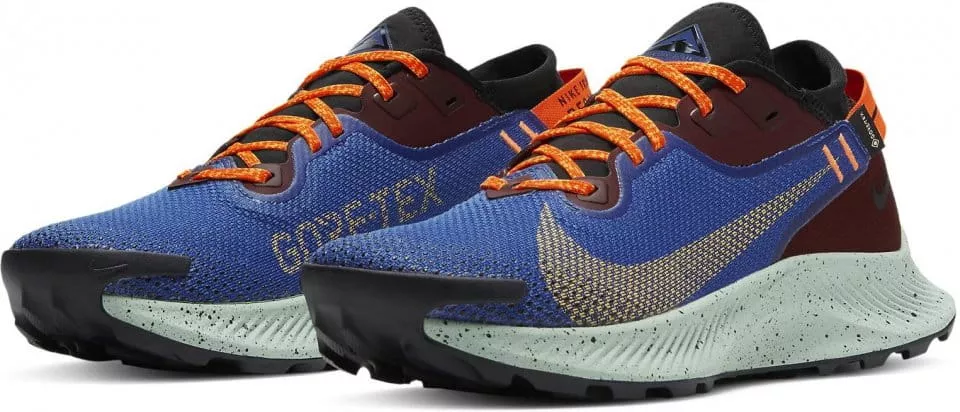 Trail-Schuhe Nike WMNS PEGASUS TRAIL 2 GTX