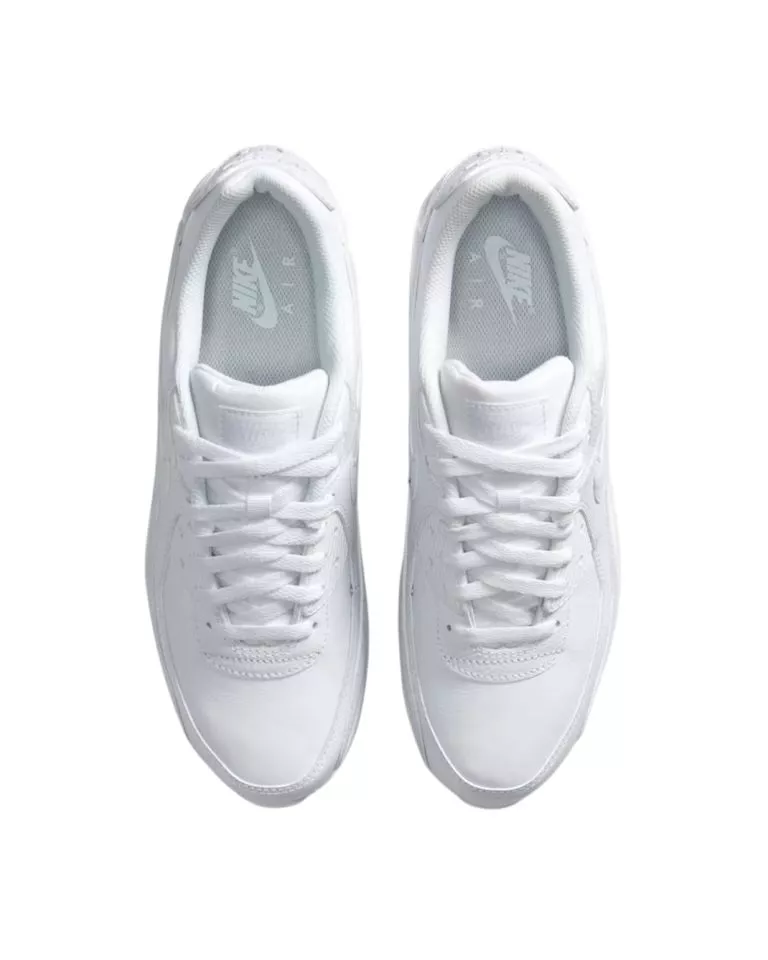 Incaltaminte Nike Max 90 LTR