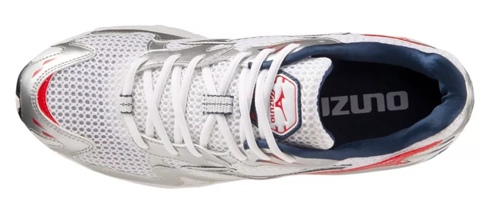 Schuhe Mizuno Wave Rider 10
