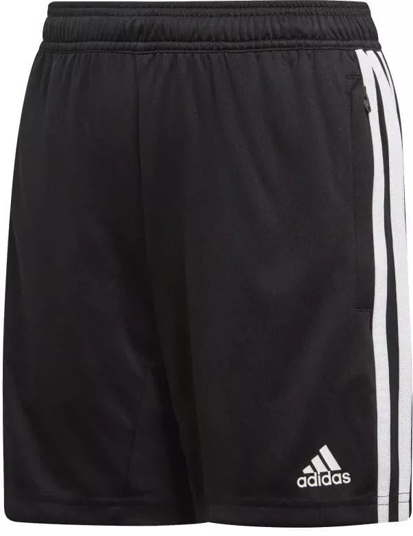 Šortky adidas TIRO19 TR SHO