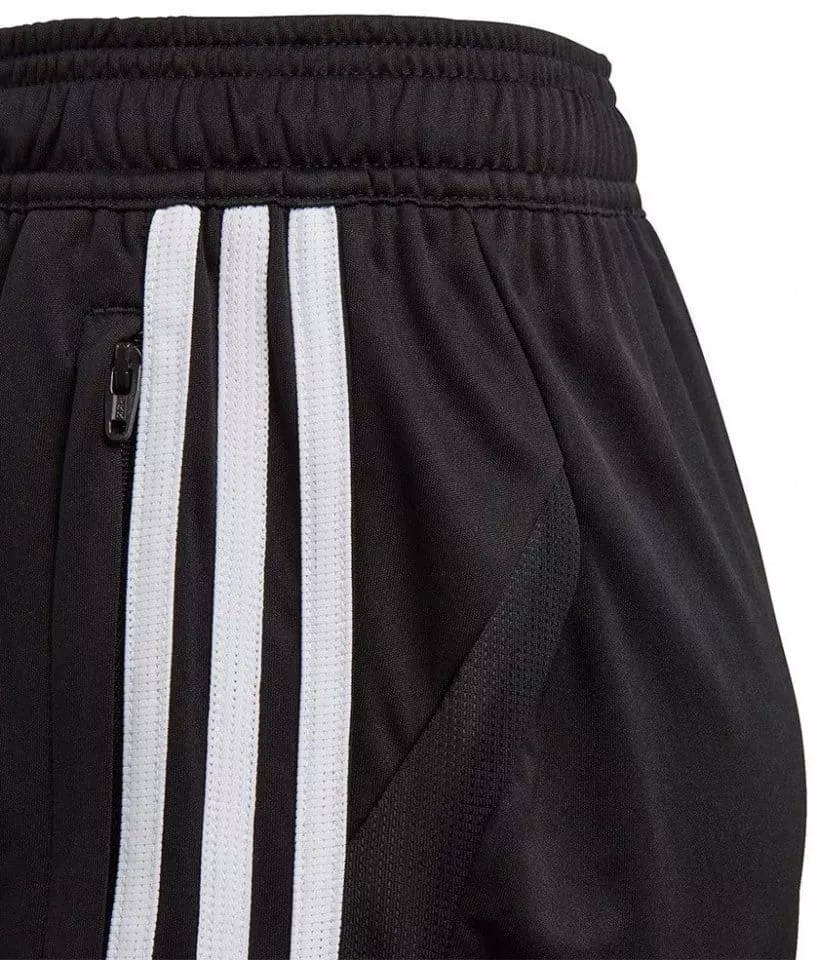 Kratke hlače adidas TIRO19 TR SHOY