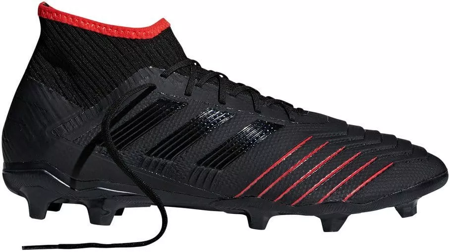 Football shoes adidas PREDATOR 19.2 FG