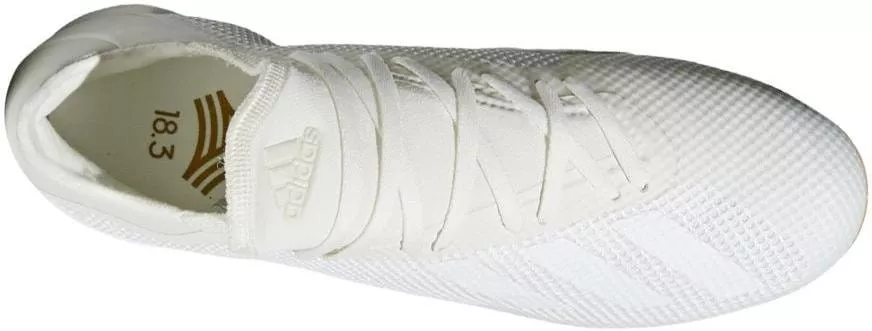 Pantofi fotbal de sală adidas X Tango 18.3 IN