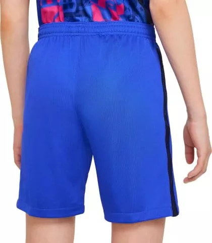 Nike FC Barcelona 2021/22 Stadium Third Big Kids Soccer Shorts