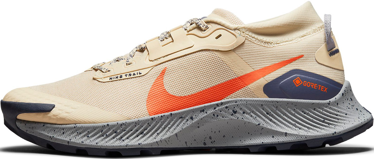 Chaussures de Nike Pegasus Trail 3 GTX