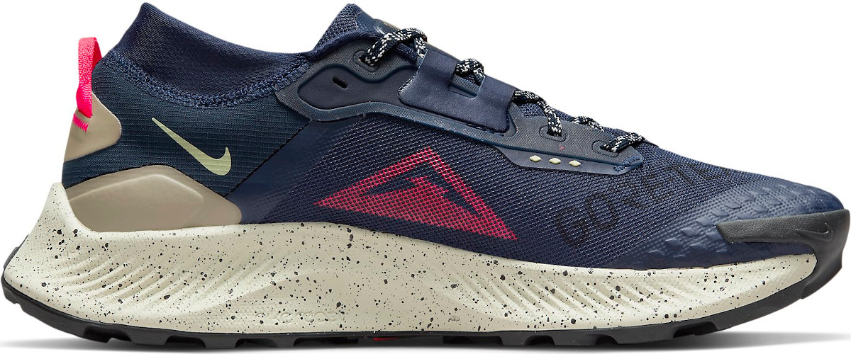 Shoes Nike Pegasus Trail 3 GTX - Top4Running.com