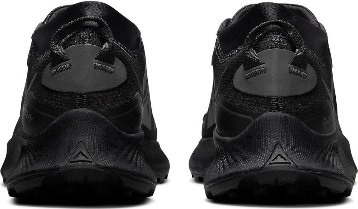 Shoes Nike Pegasus Trail 3 Gore-Tex - Top4Running.com