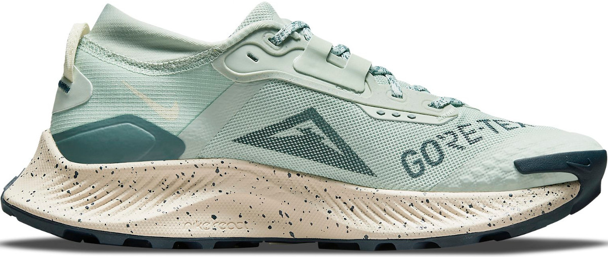 Shoes Nike Pegasus Trail 3 Gore-Tex - Top4Running.com