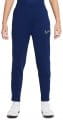 nike therma academy winter warrior 409259 dc9158 492 120