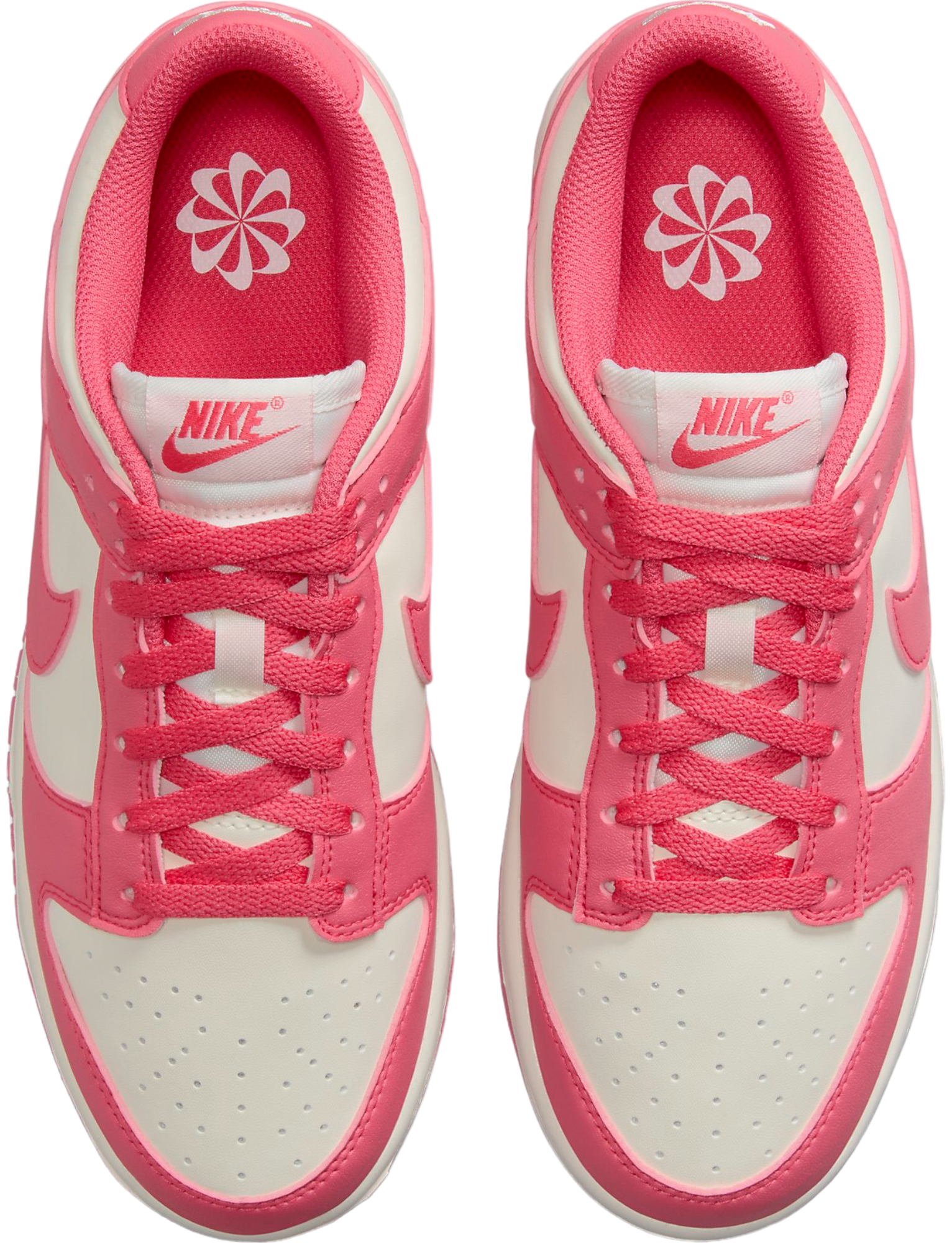 Incaltaminte Nike W DUNK LOW NEXT NATURE - 11teamsports.ro