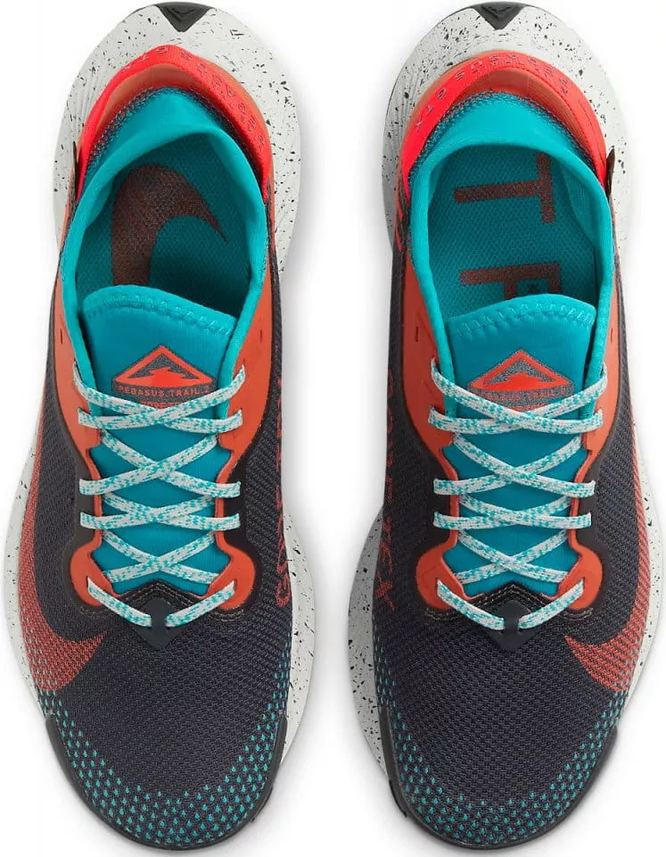 shoes Nike Pegasus Trail 2 GORE-TEX