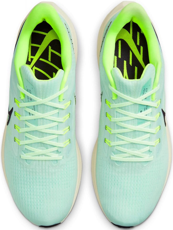 Pánské běžecké boty Nike Air Zoom Pegasus 39
