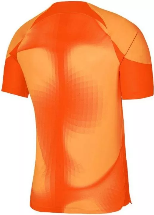 Camiseta Nike M NK DFADV GARDIEN IV GK JSY SS