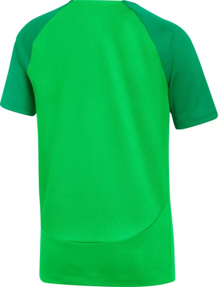 Majica Nike Academy Pro Dri-FIT T-Shirt Youth