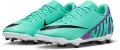 nike jr vapor 15 club fg mg 665291 dj5958 304 120