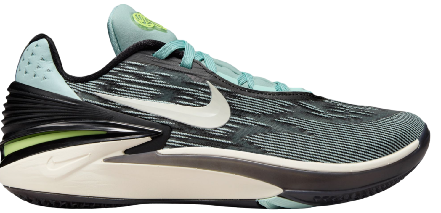 Nike zoom low store cut basketball shoes