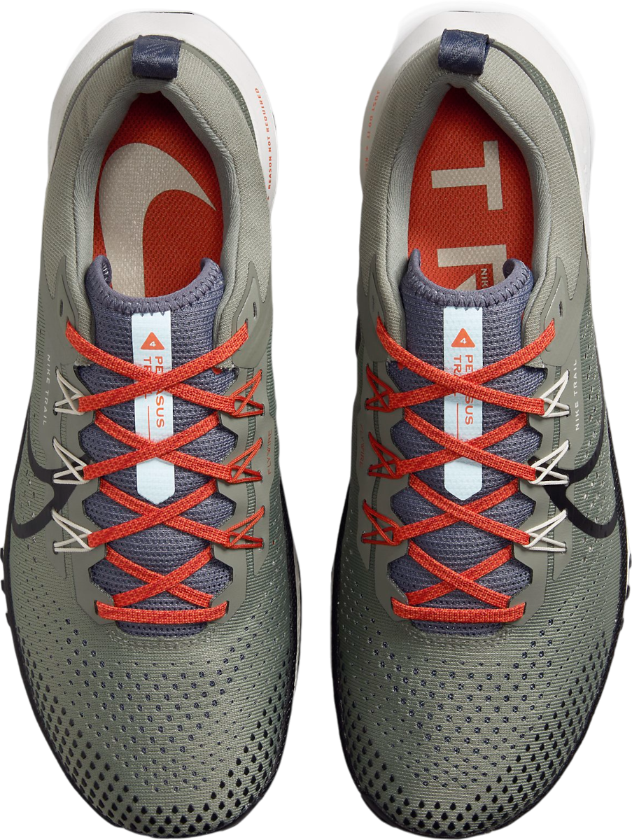 Shoes Nike Pegasus Trail 4