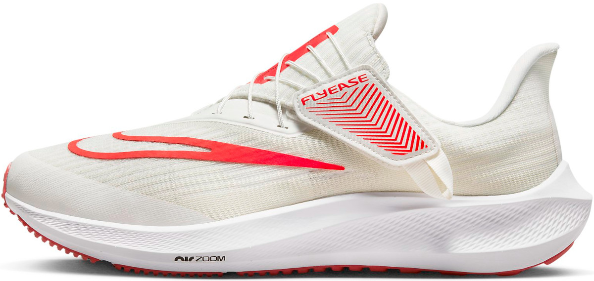 Running shoes Nike Pegasus FlyEase