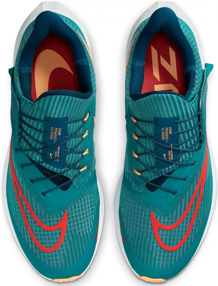Zapatillas de running Nike Pegasus FlyEase