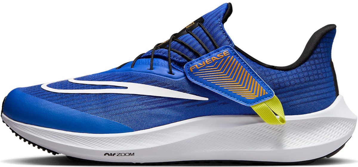 Running shoes Nike Pegasus FlyEase