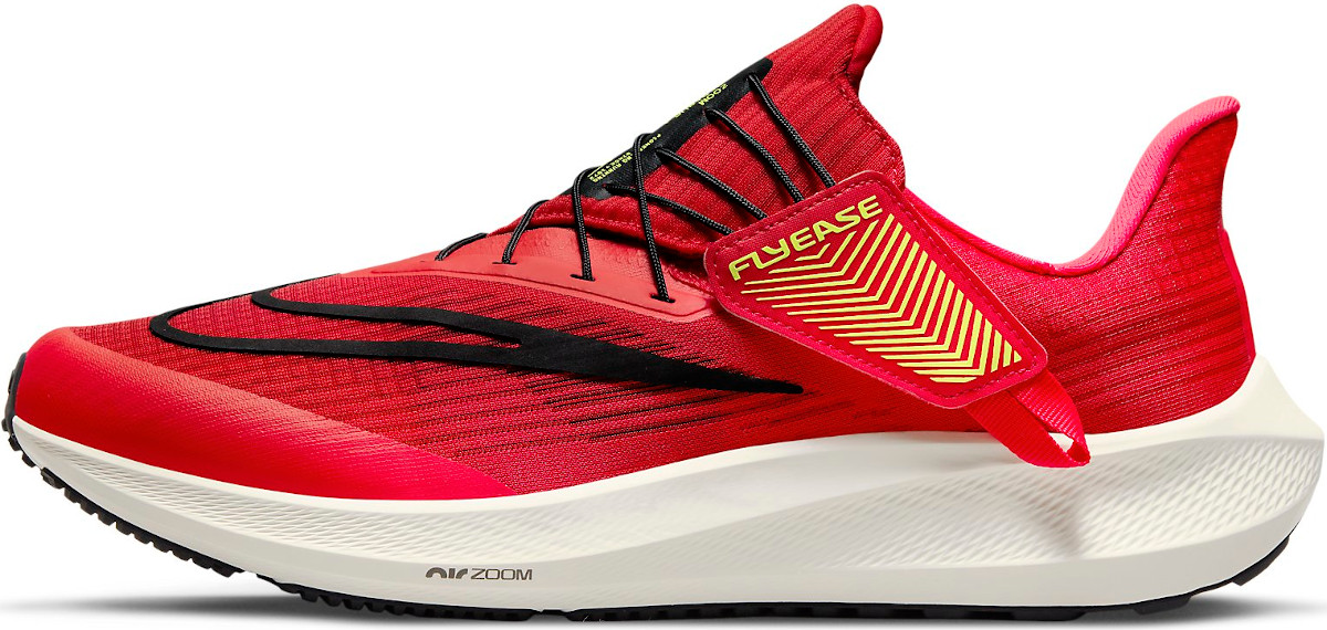 Zapatillas de running Nike Air Zoom Pegasus 39 FlyEase