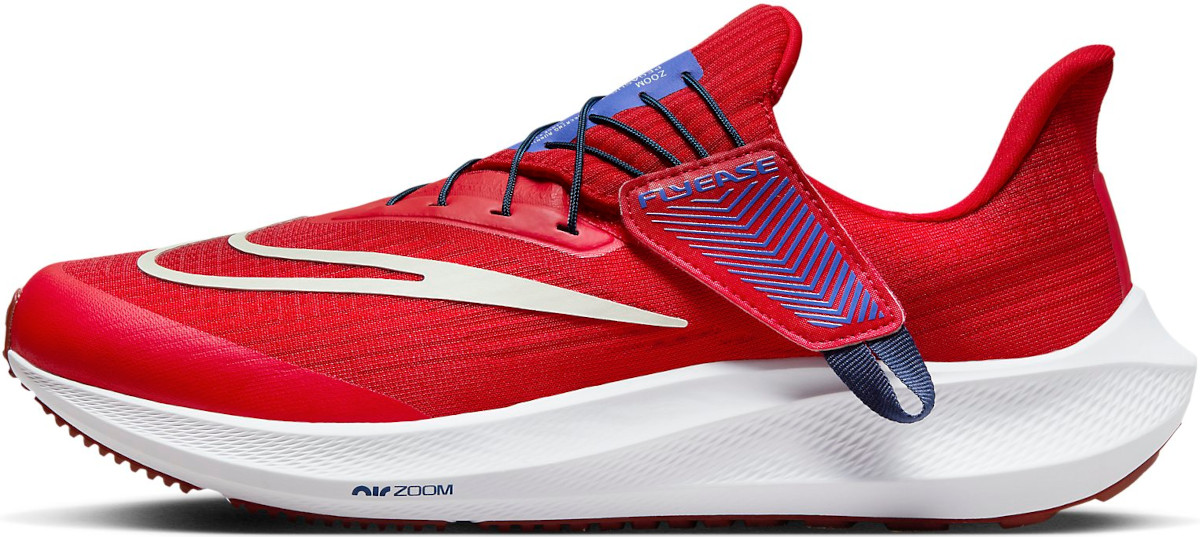 Chaussures de running Nike Pegasus FlyEase