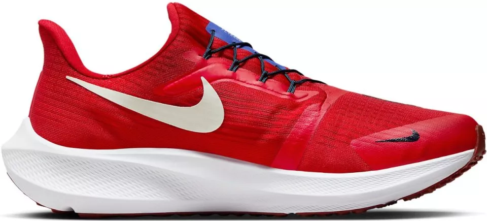 Running shoes Nike Pegasus FlyEase