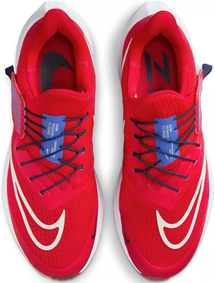 Chaussures de running Nike Pegasus FlyEase