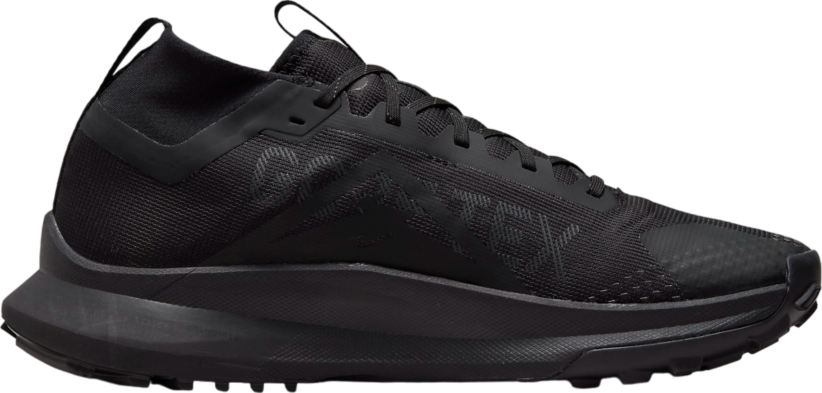 nike-pegasus-trail-4-gore-tex-